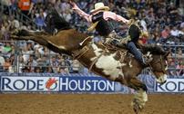 Let's Rodeo Houston 202//126